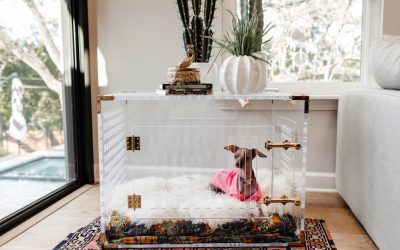 Tips from Urbane Design on Decorating for the Dogs