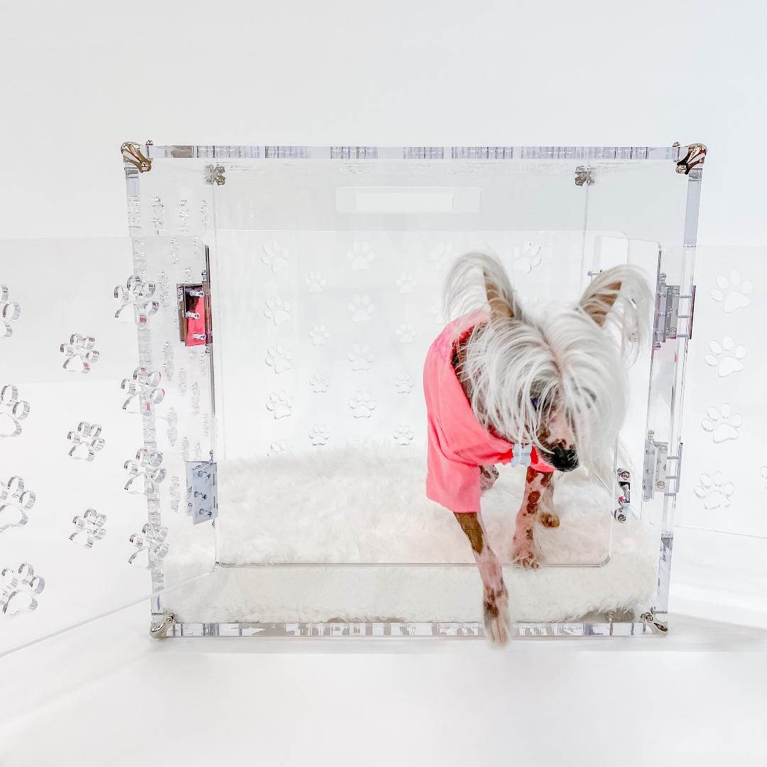 lucite dog crate